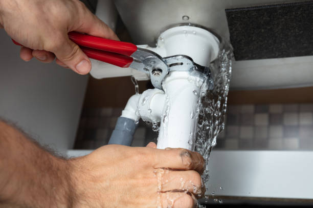 Best Water damage cleanup near me  in , WA