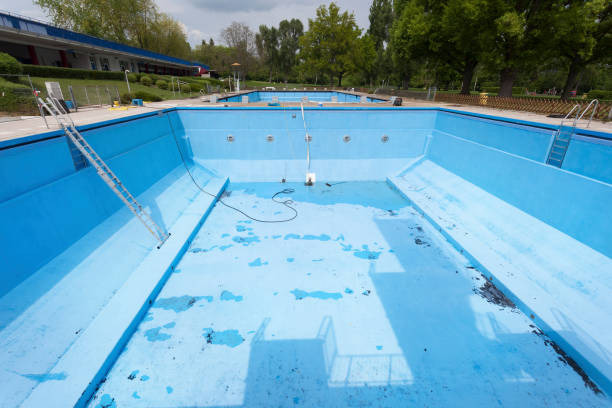 Best Basement water damage restoration  in , WA