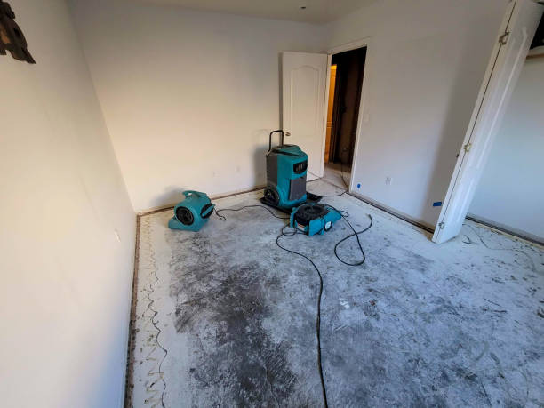  , WA Water damage restoration Pros