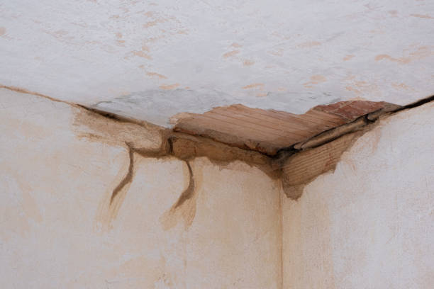 Best Water damage repair service  in , WA