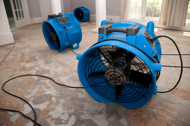 Best Water damage restoration company  in , WA