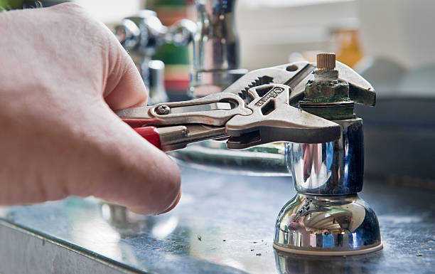 Best Professional water damage repair  in , WA