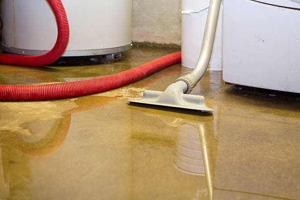 Best Water damage restoration near me  in , WA