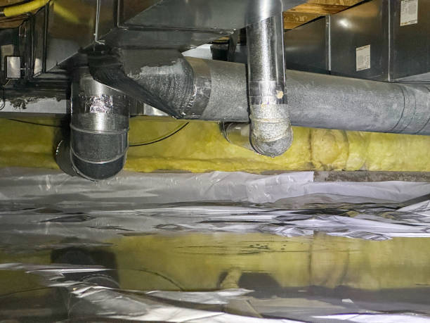 Best Carpet water damage restoration  in , WA