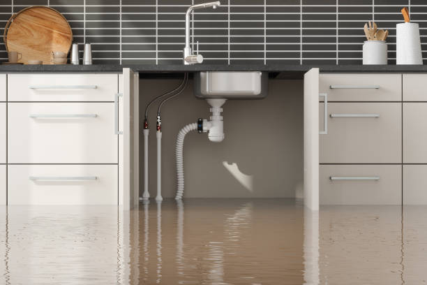  , WA Water damage restoration Pros