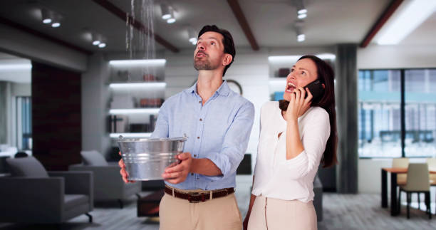 Best Mold removal after water damage  in , WA