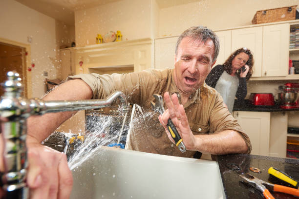 Best 24/7 water damage repair  in , WA
